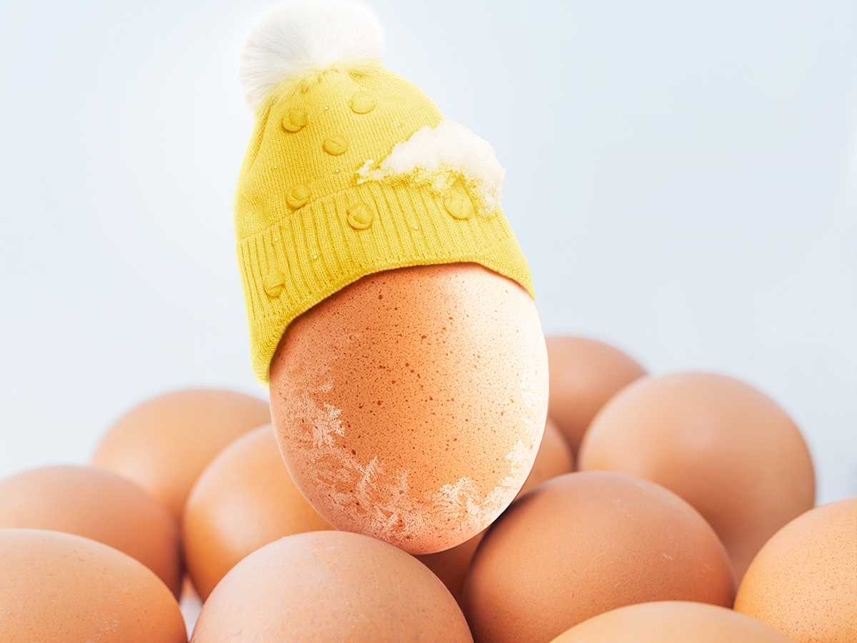 Un petit œuf avec un chapeau